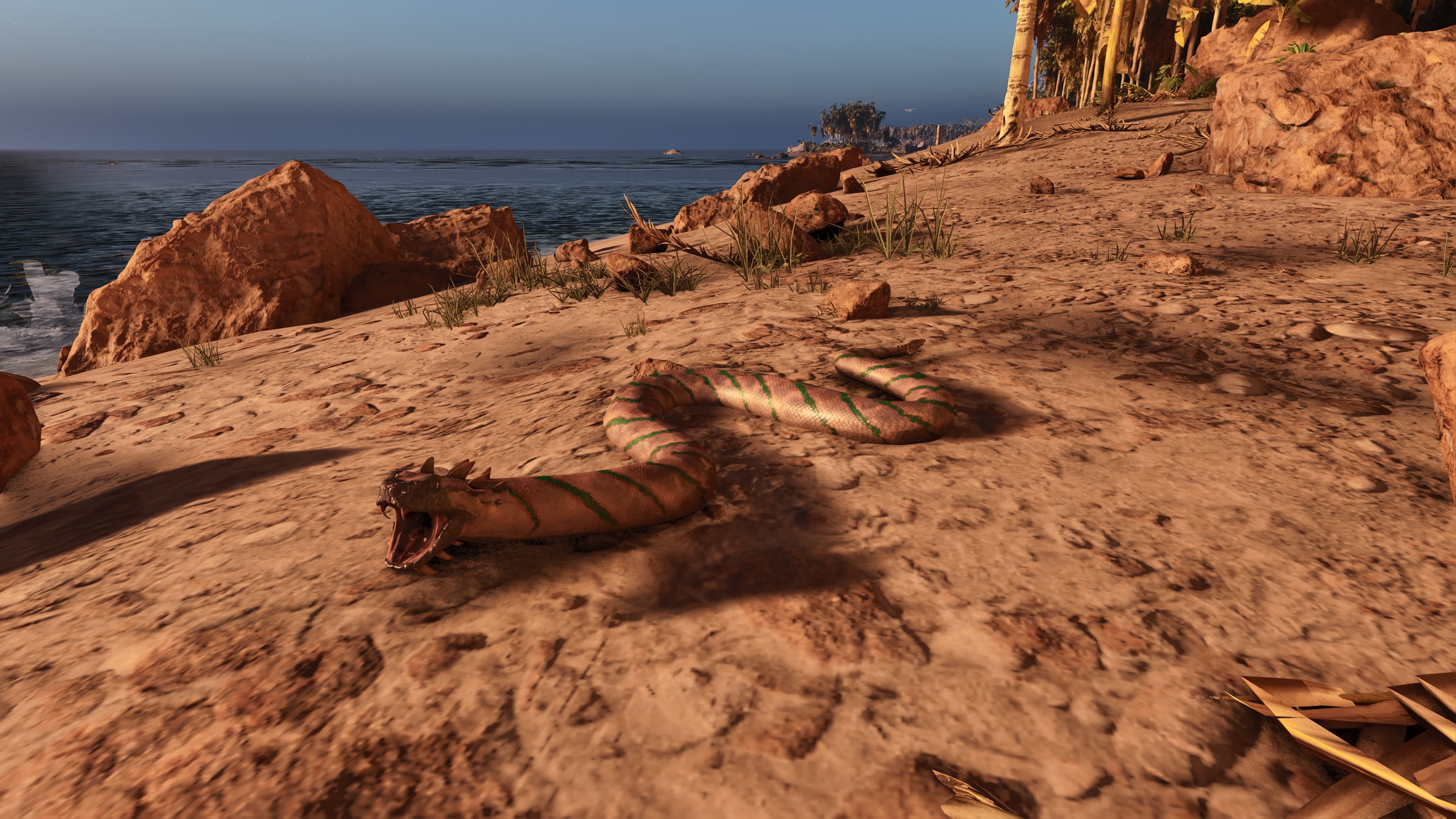 Thumbnail Crotalus Cerastes
