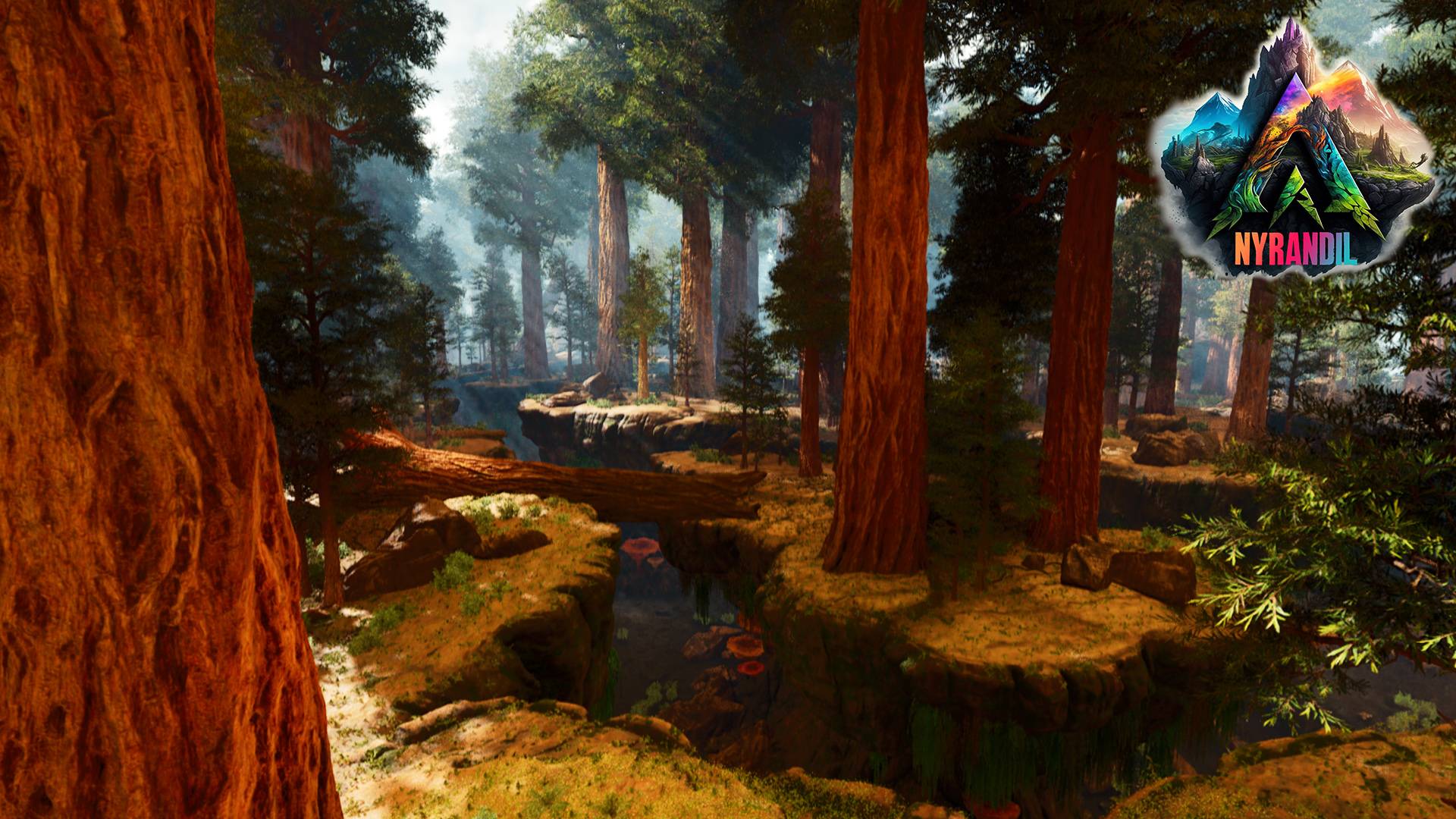 Thumbnail Redwood Trench.jpg