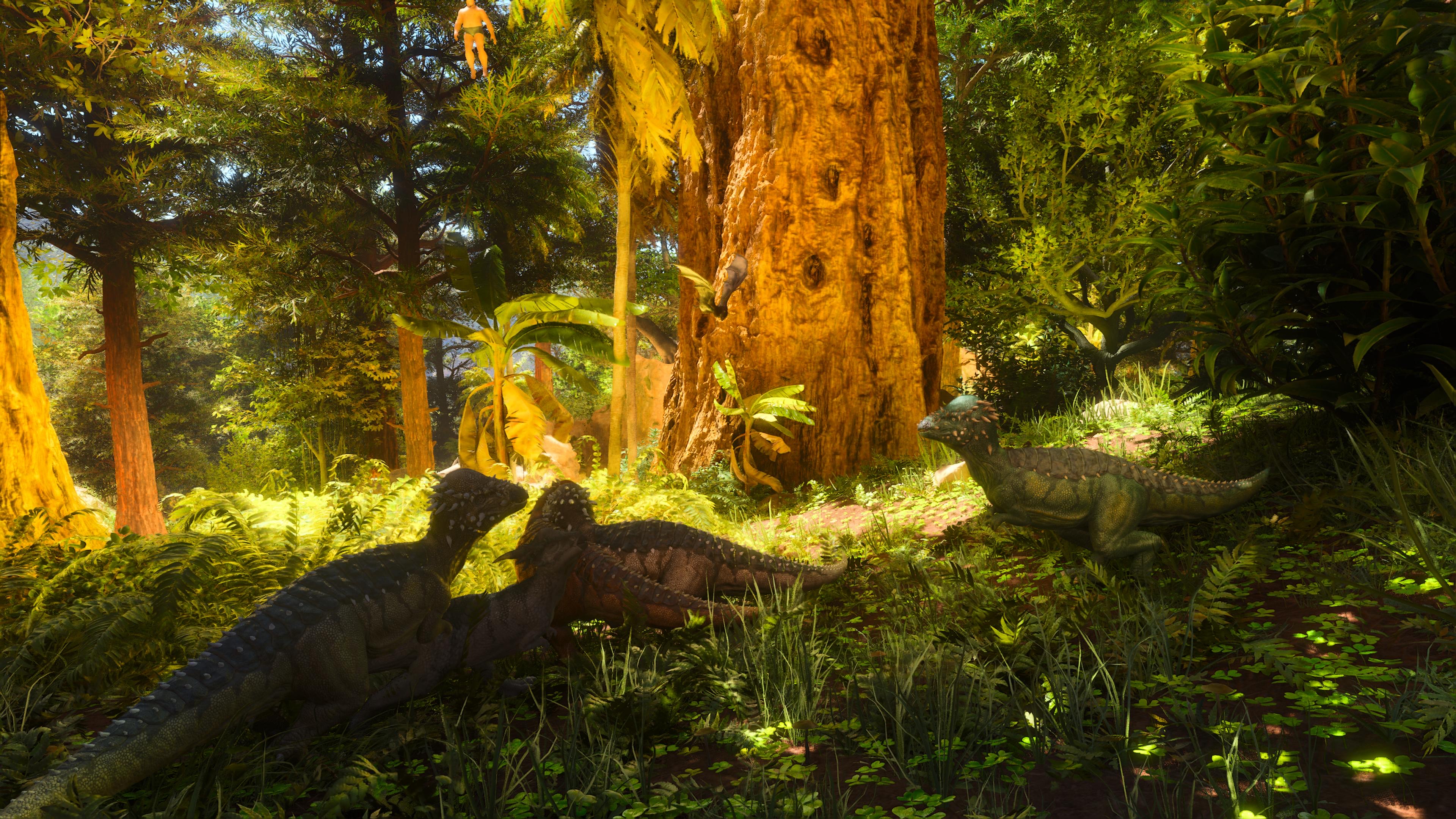 Thumbnail A group of Pachycephalosaurus defending the younger Stygimoloch from a Lophostoma attack