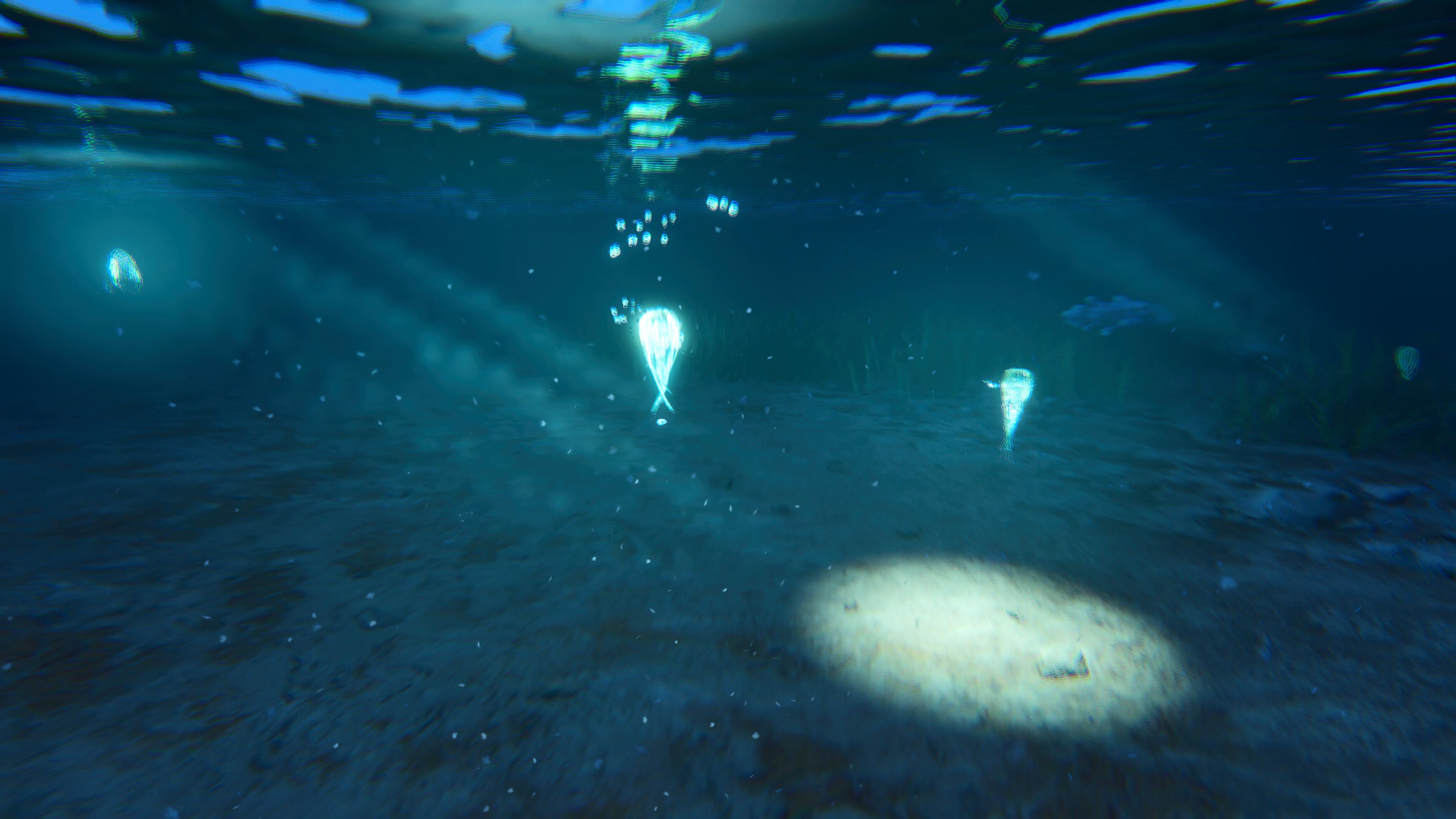 Thumbnail Sowerbii in the inland rivers