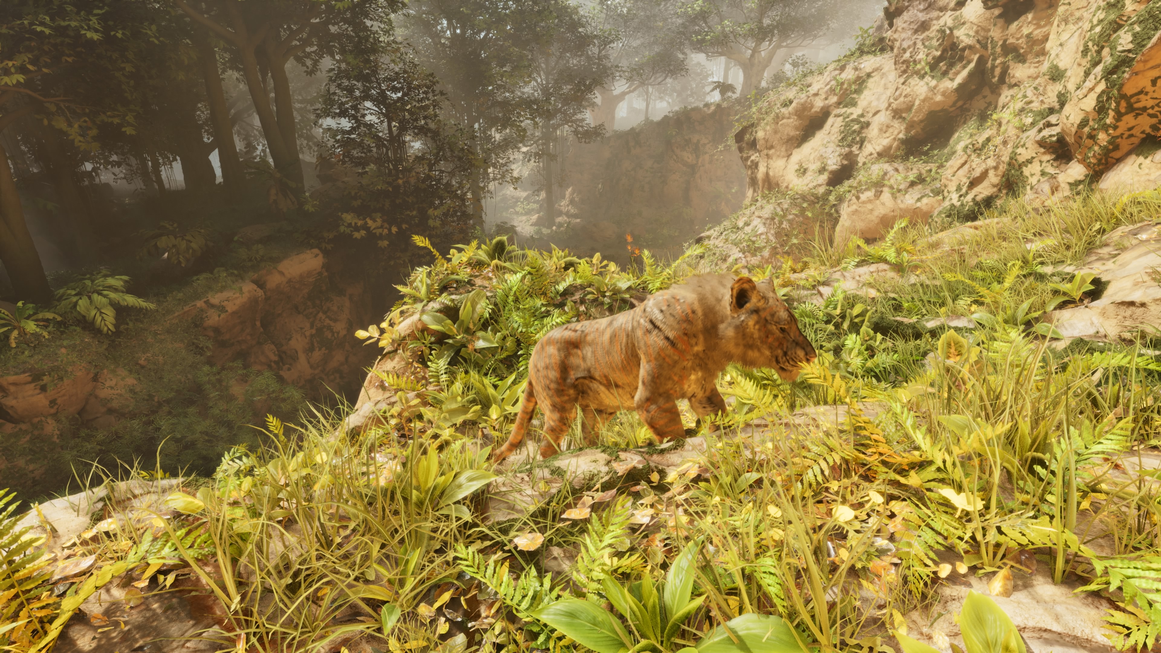 Thumbnail Panthera
