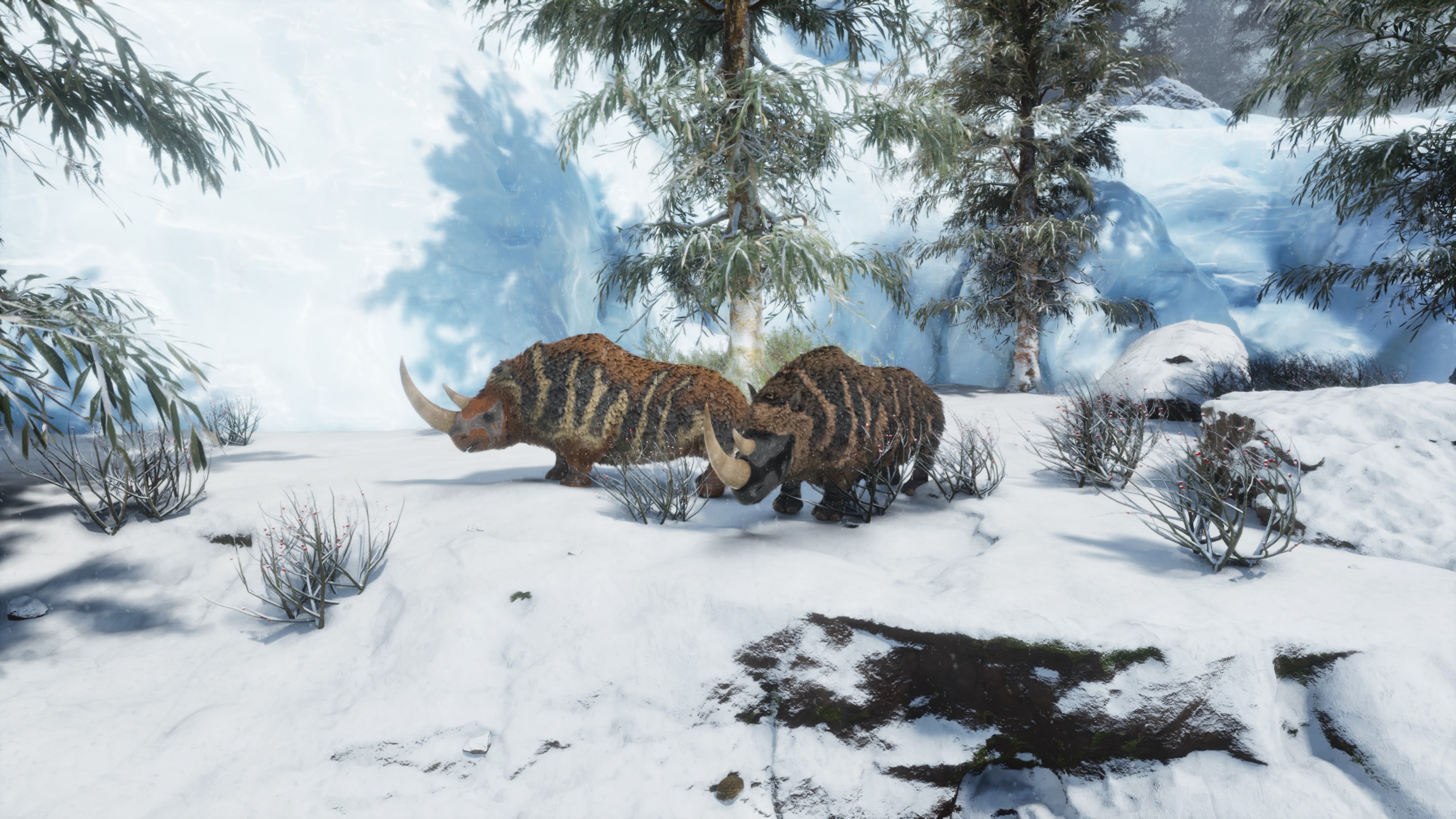 Thumbnail Coelodonta