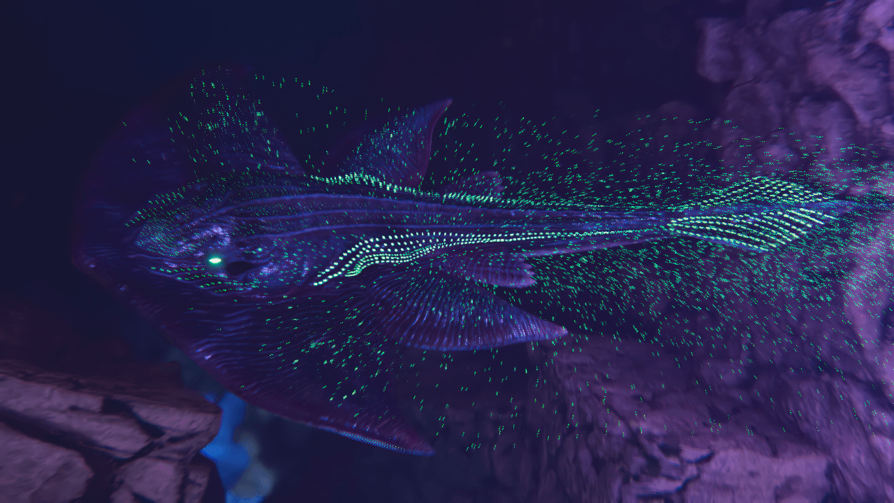 Thumbnail Beautiful Photo Of Hydrovanta
