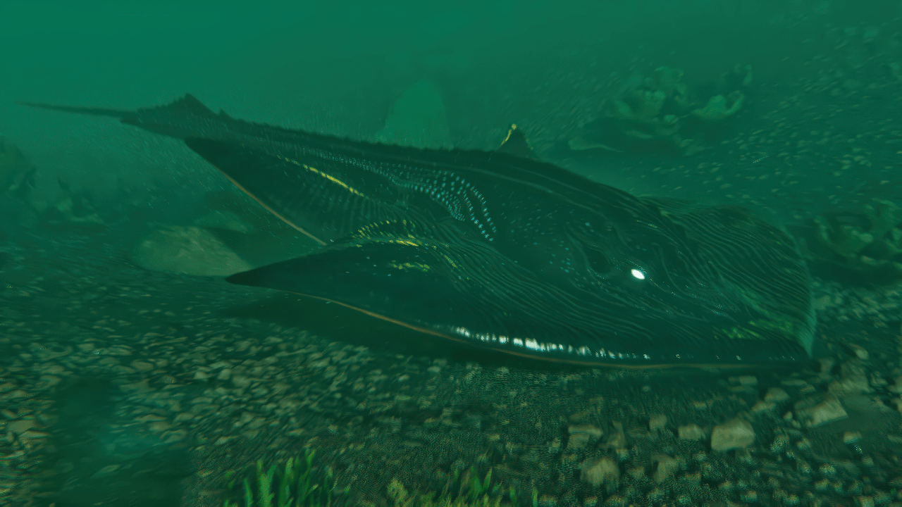 Thumbnail Closely Lurking the ocean floor