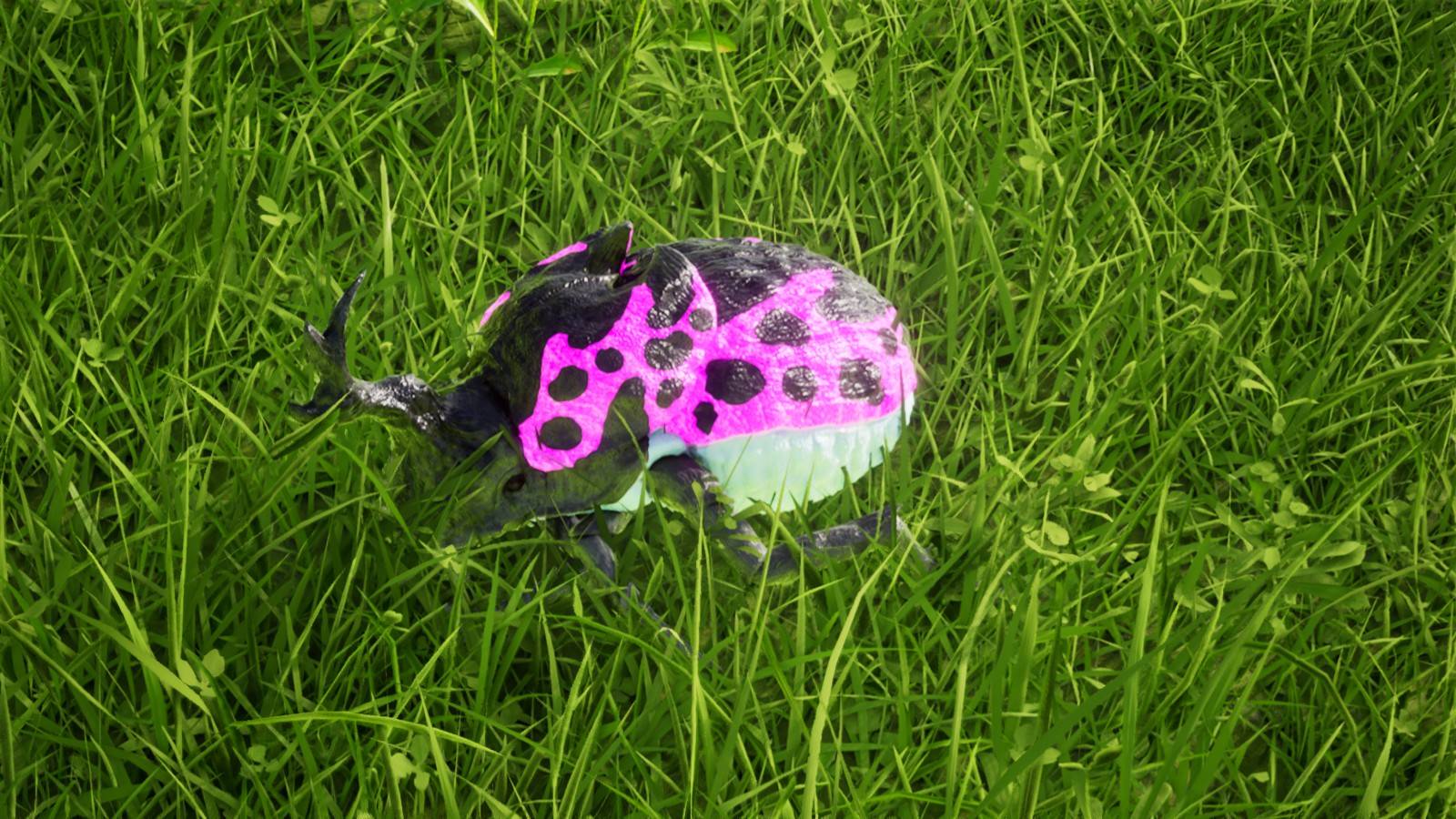 20250717164731_1.jpg