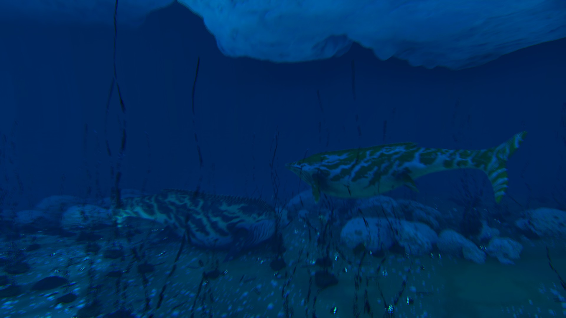 Thumbnail Ocean