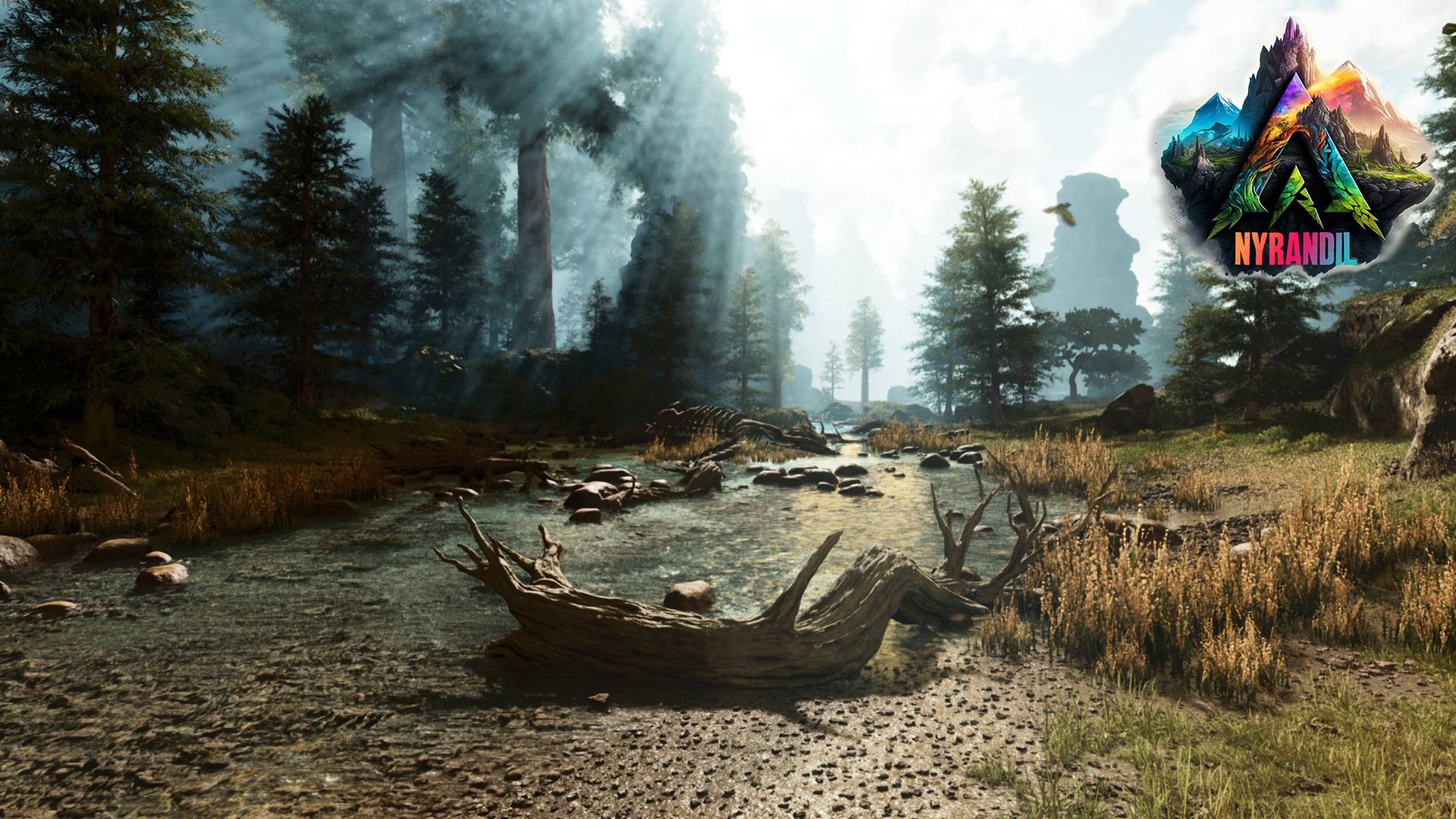 Thumbnail Lush Forest Exit Redwood.jpg