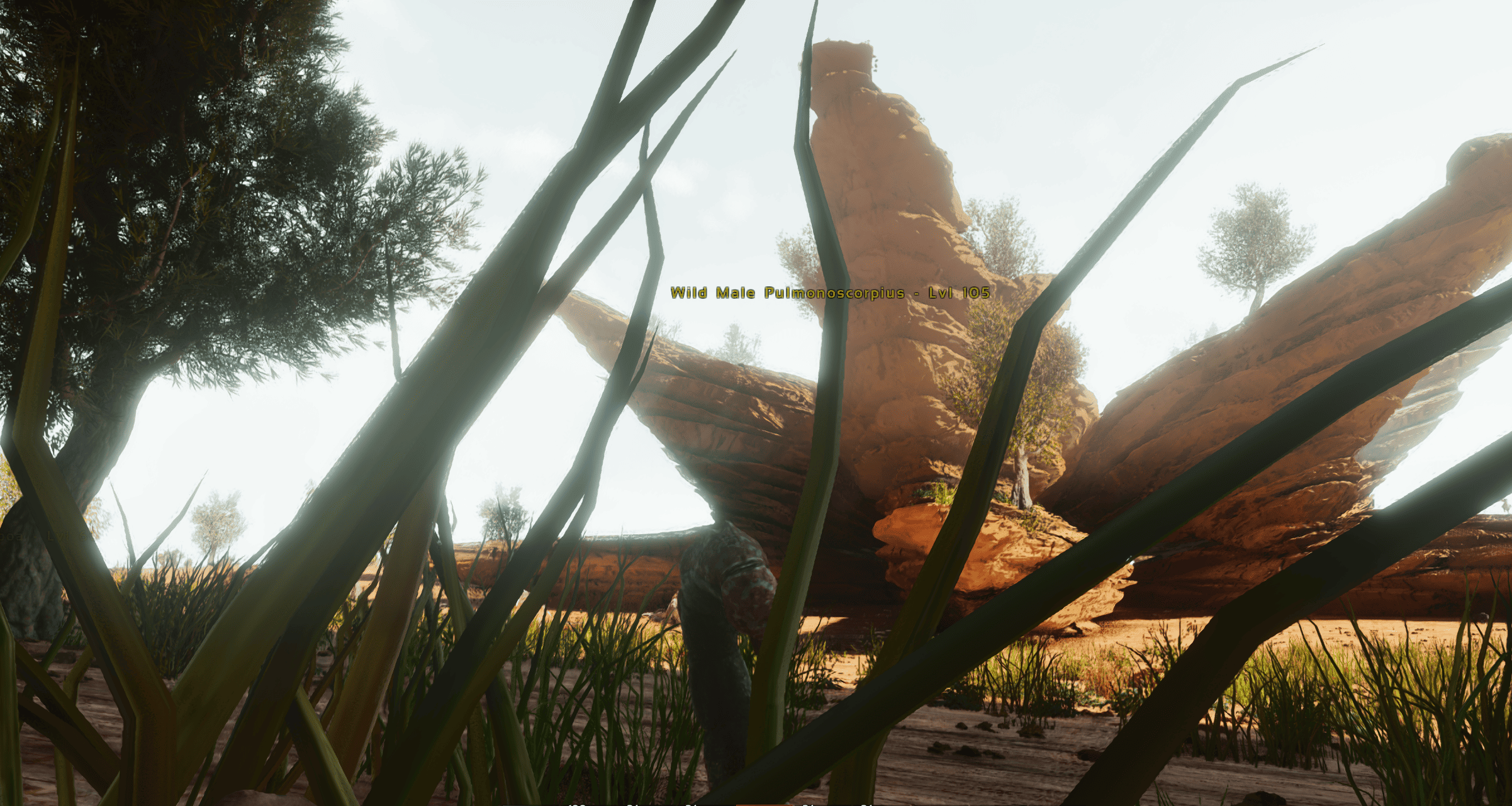 Tropical_Islands early vers. - Ark Survival Ascended Mods - CurseForge