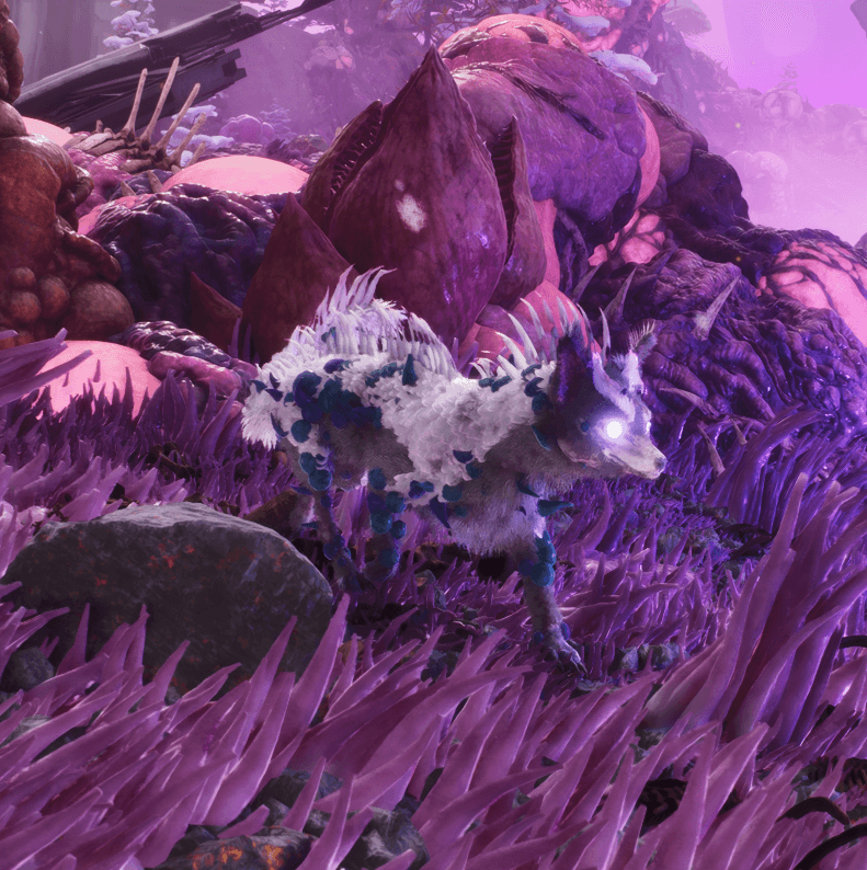 Thumbnail risenveilwyn.png