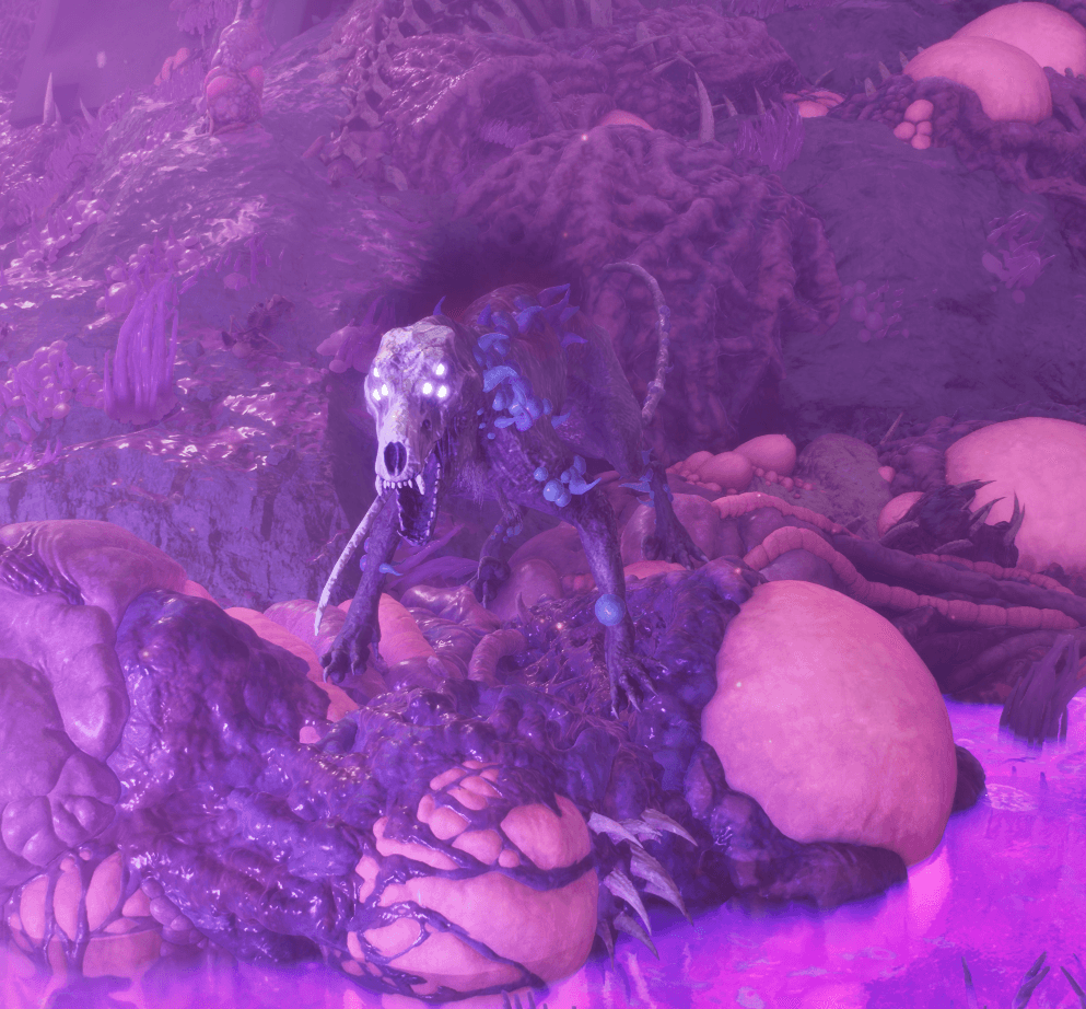 risenmalwyn.png