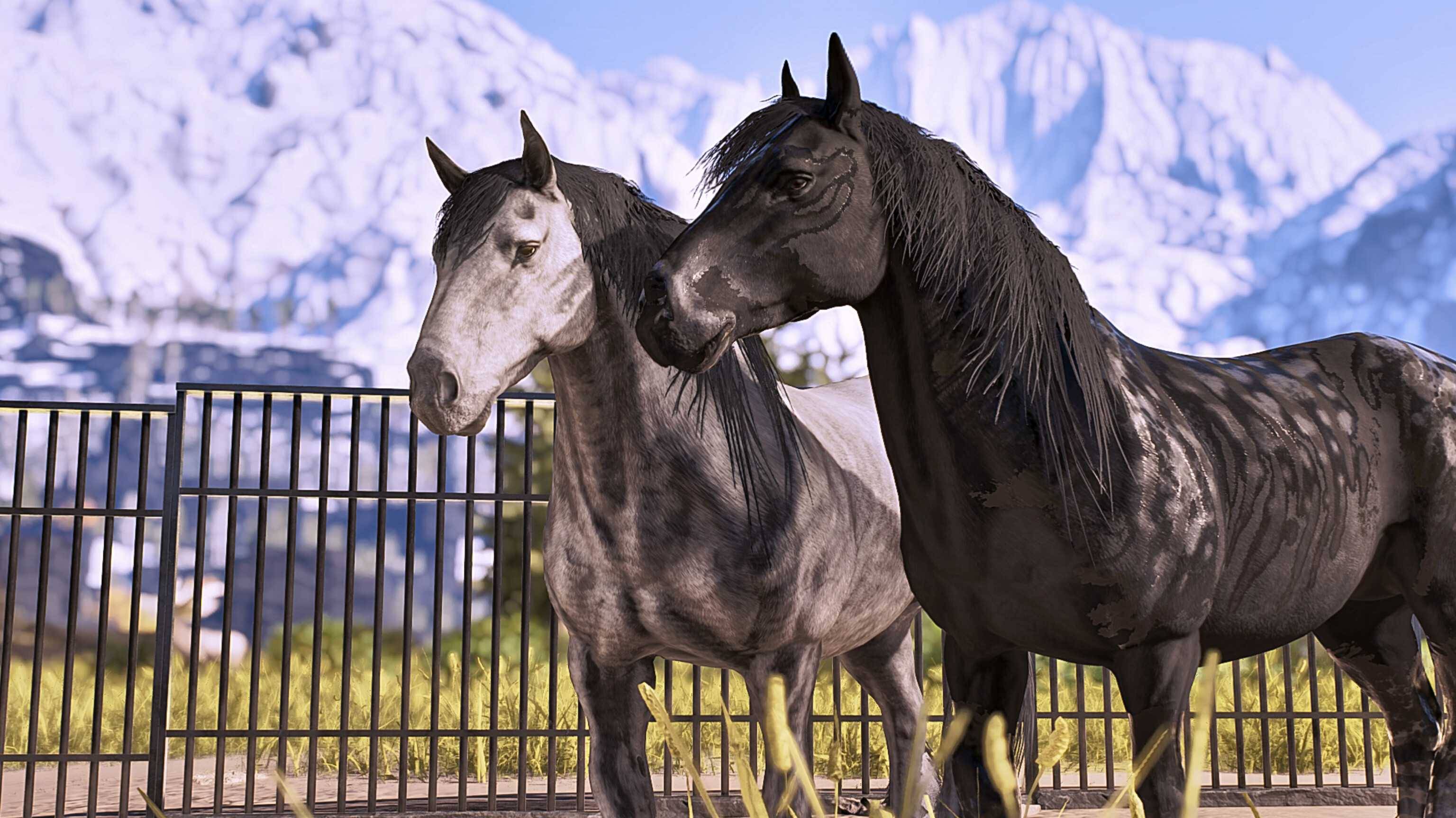 Versetti's horses1.jpg