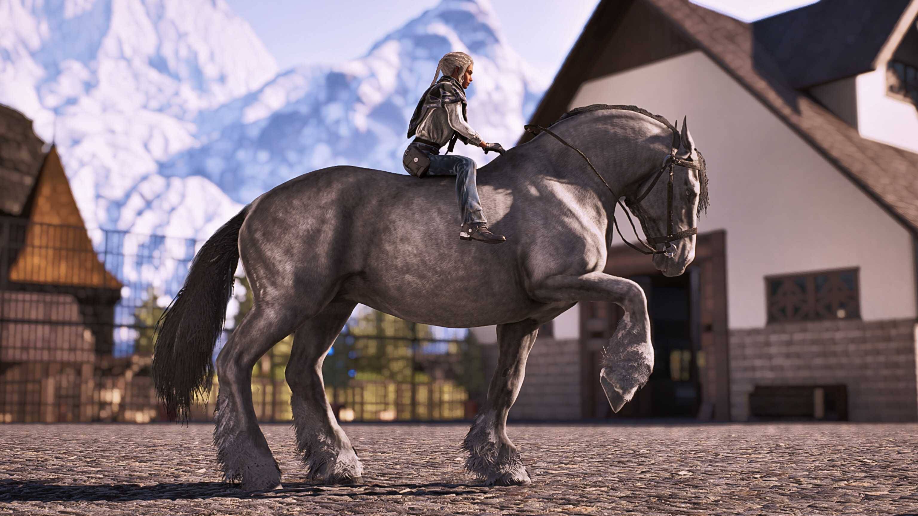 Versetti's horses3.jpg