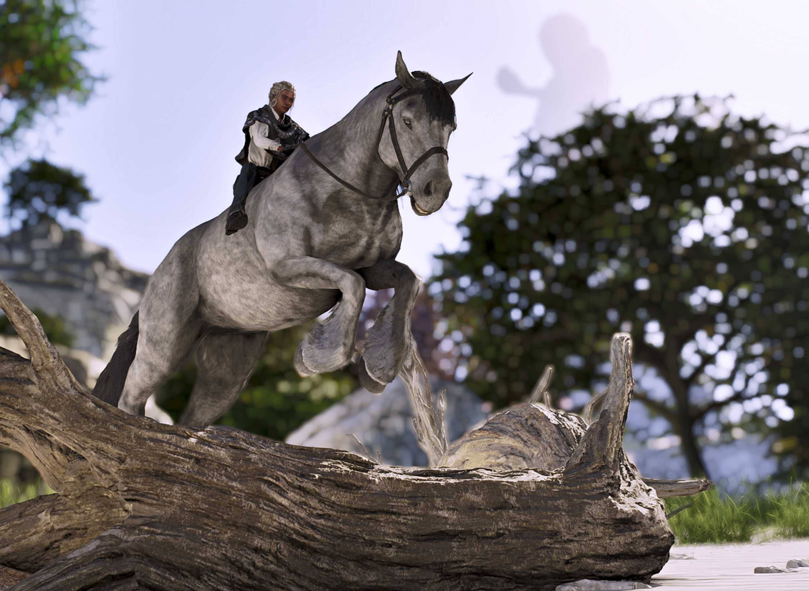 Versetti's horses5.jpg