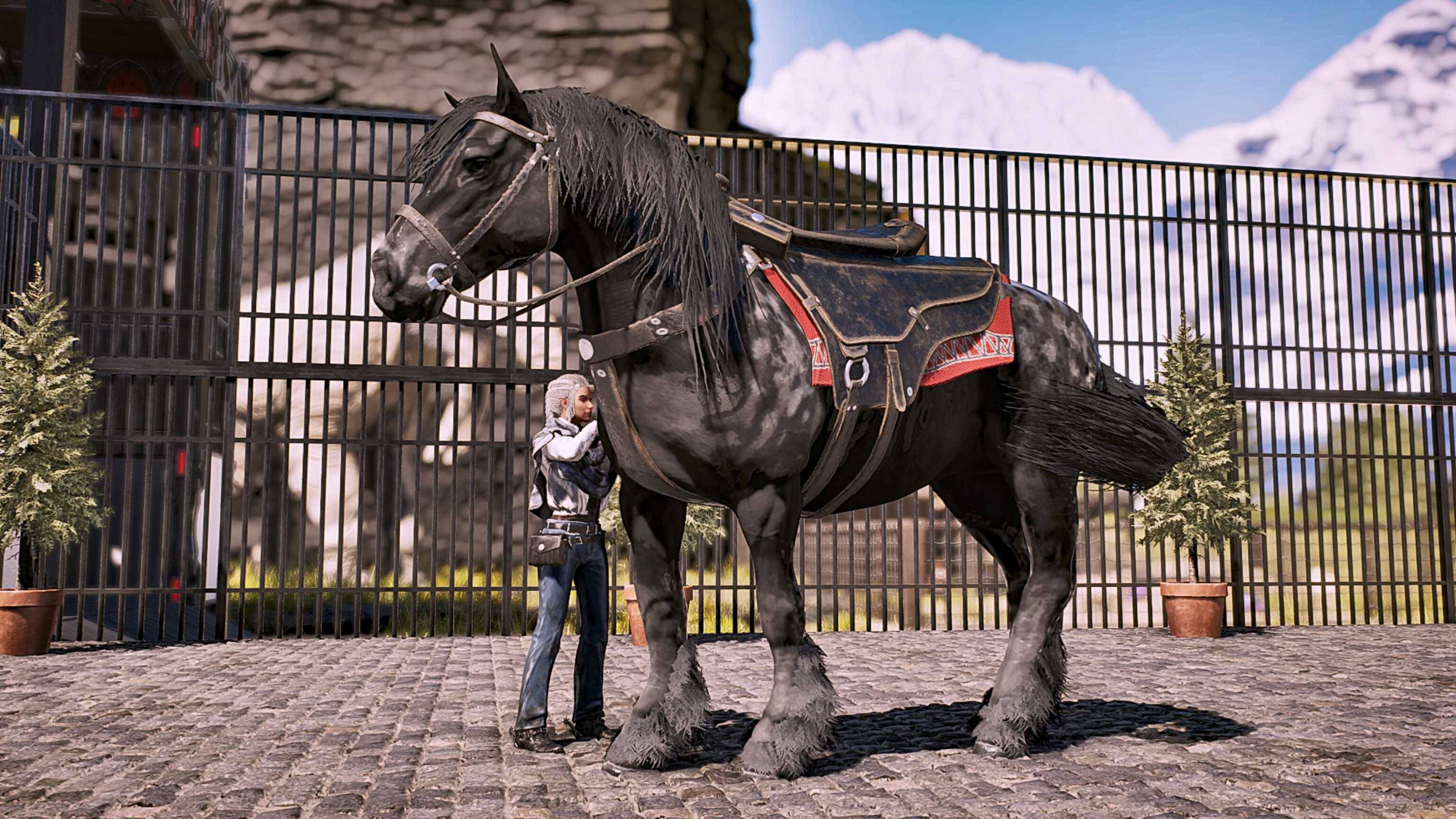Versetti's horses6.jpg