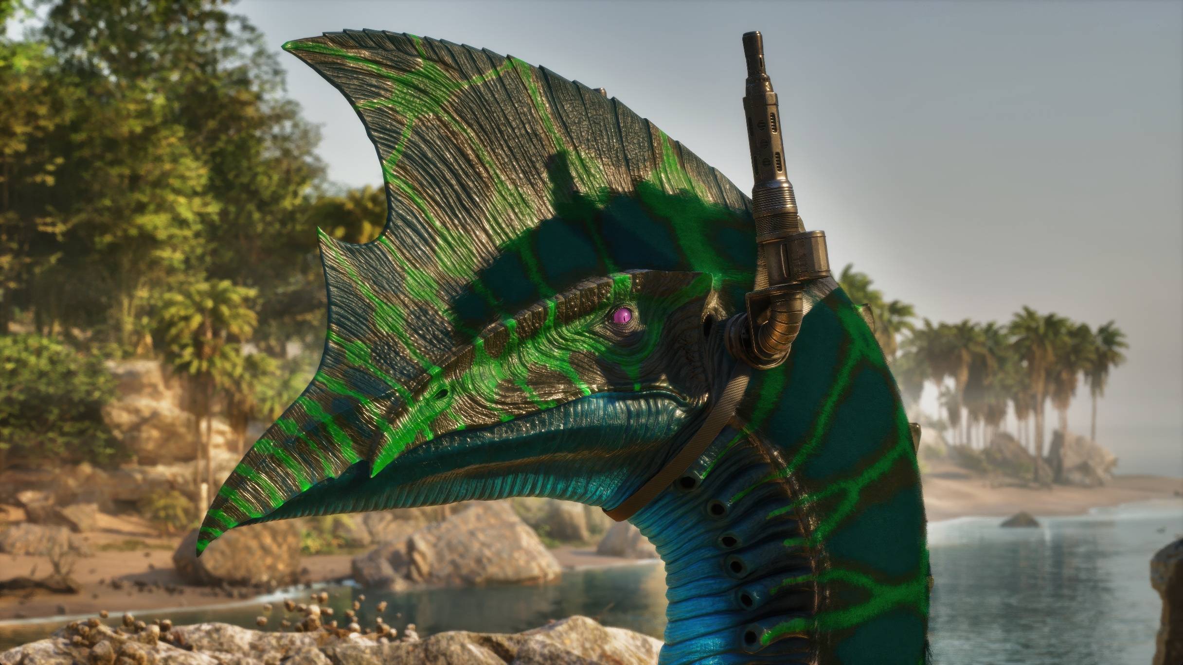 Thumbnail Supercephalosornis Photo (13).jpeg