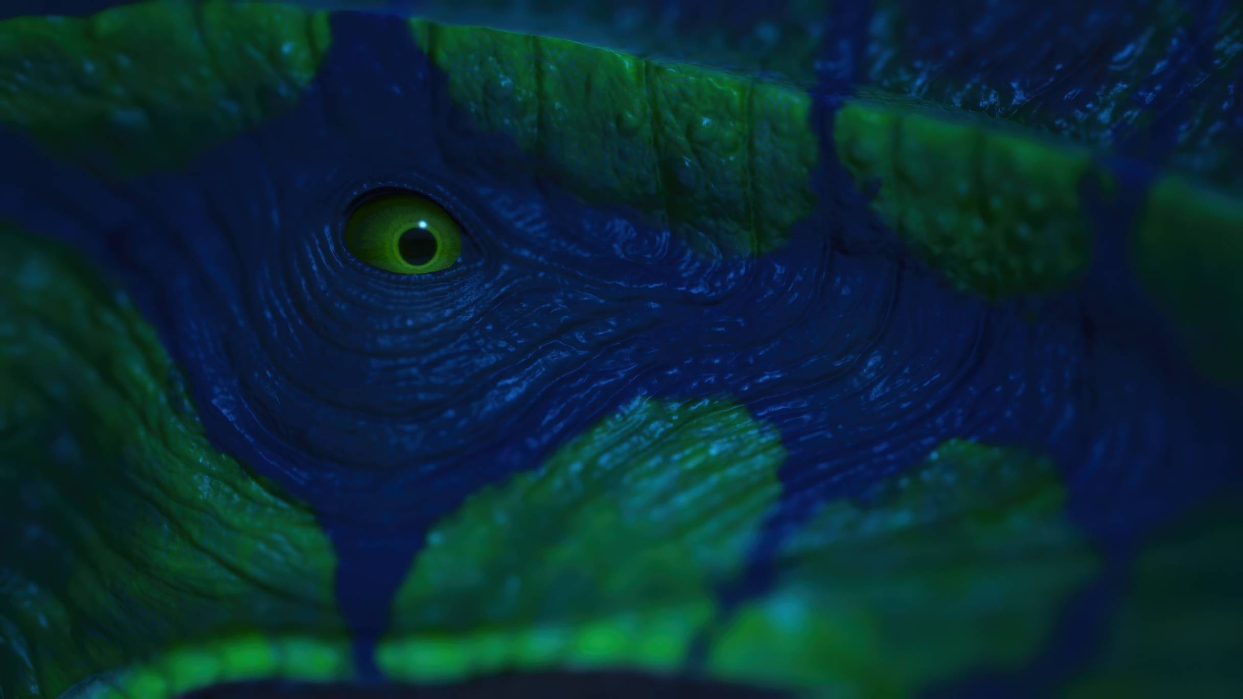 Thumbnail Supercephalosornis Photo (18).jpeg