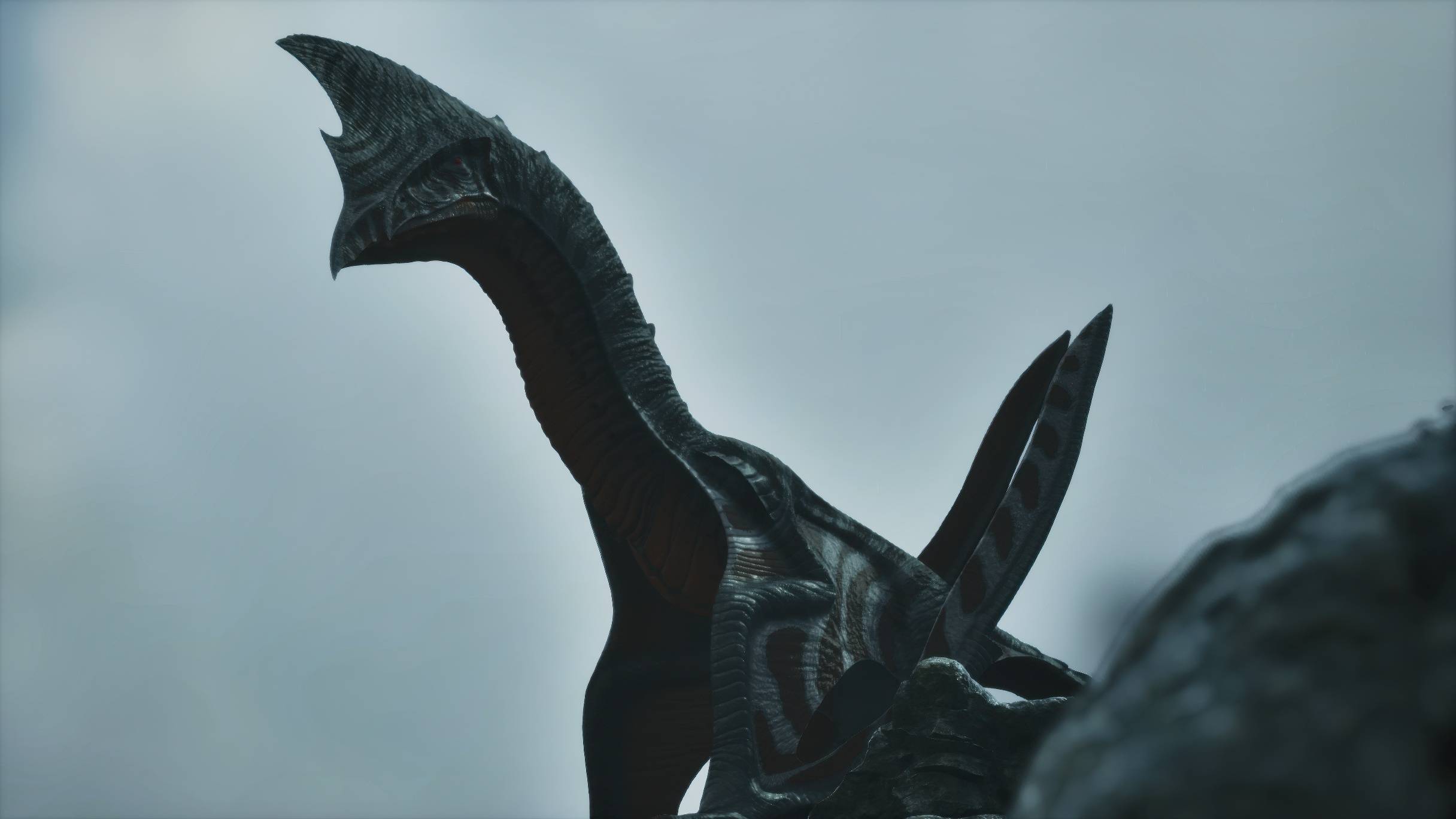 Thumbnail Supercephalosornis Photo (27).jpeg