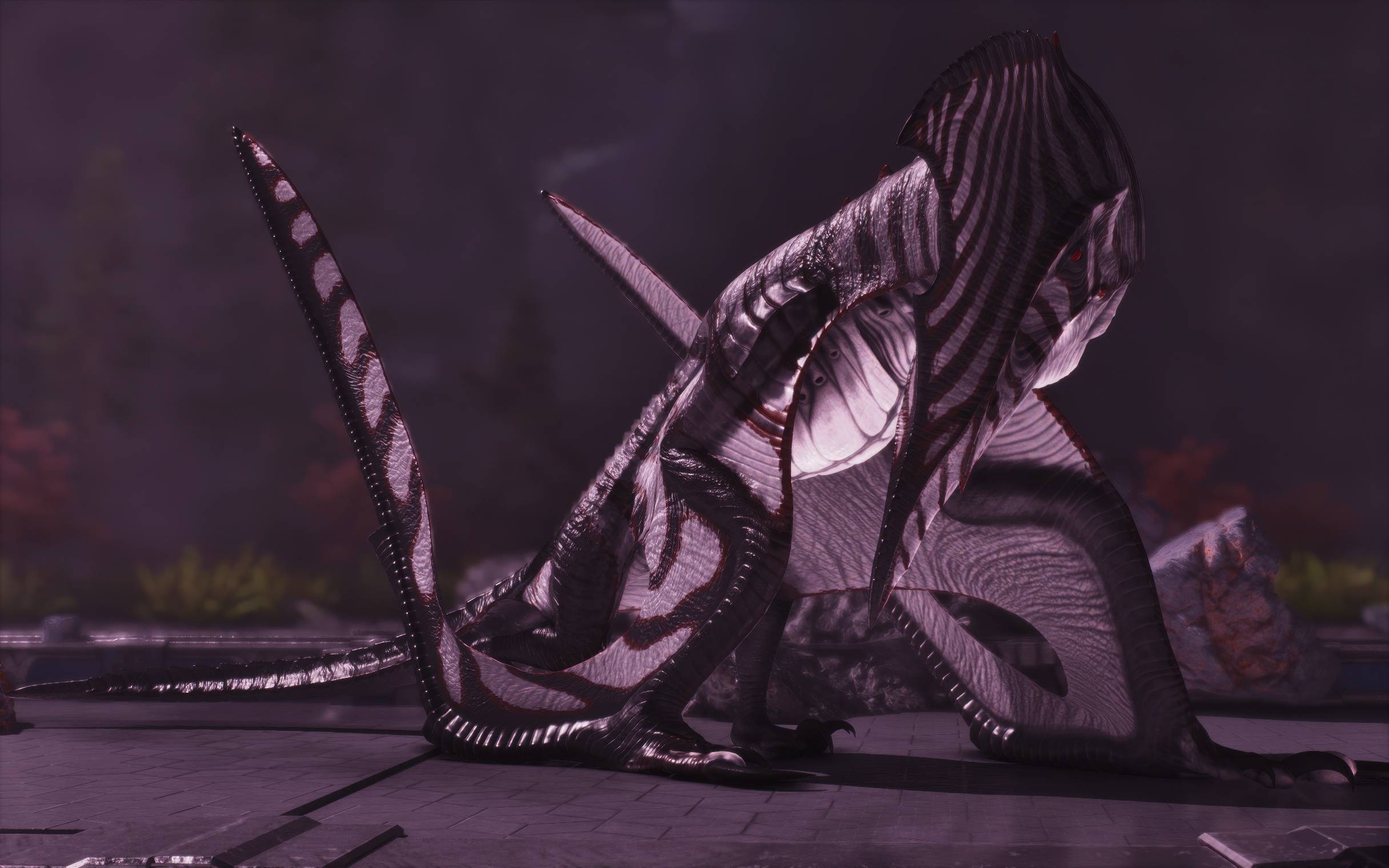 Thumbnail 2415.jpeg