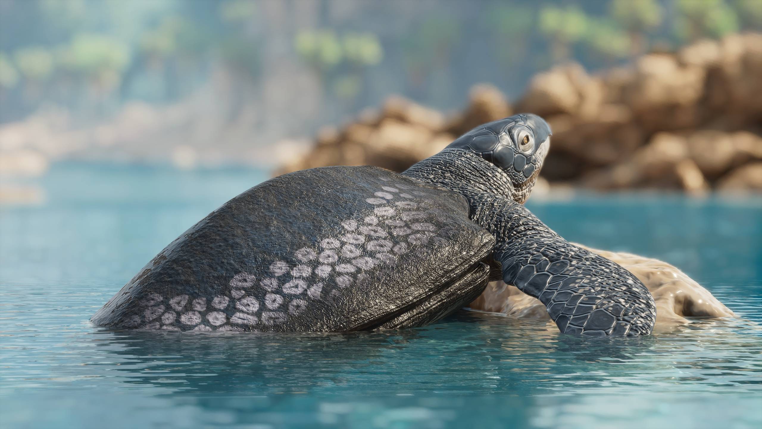 Archelon002.jpg
