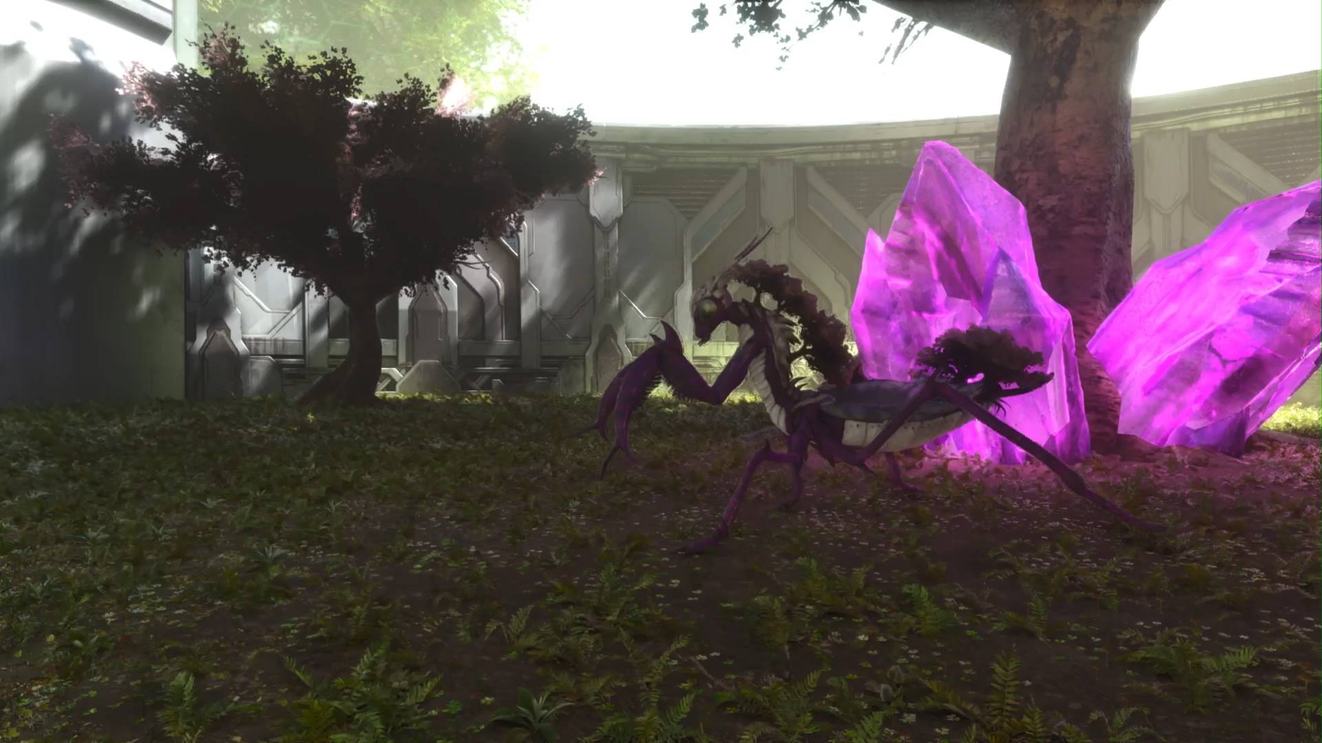 Thumbnail Orchid Mantis Boss 2.jpg