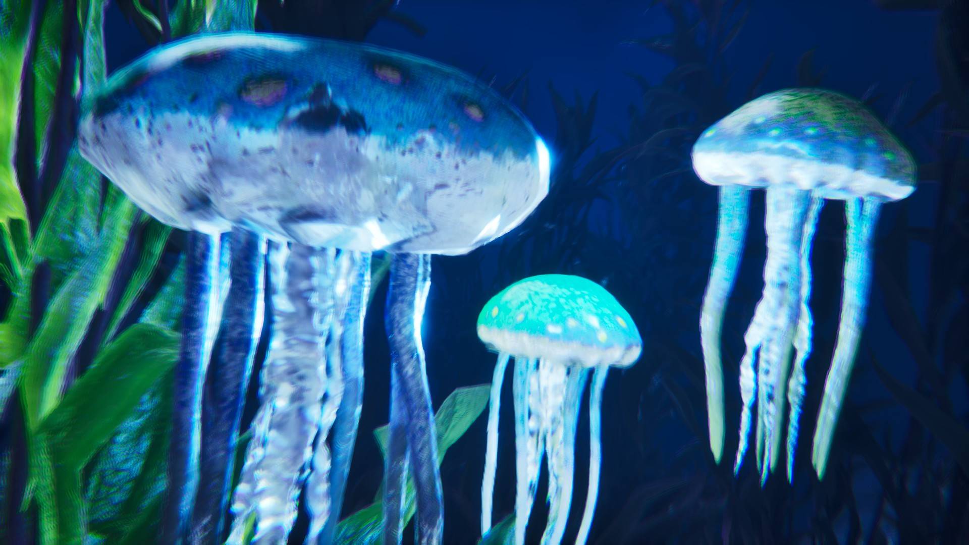 Thumbnail Stygiomedusa