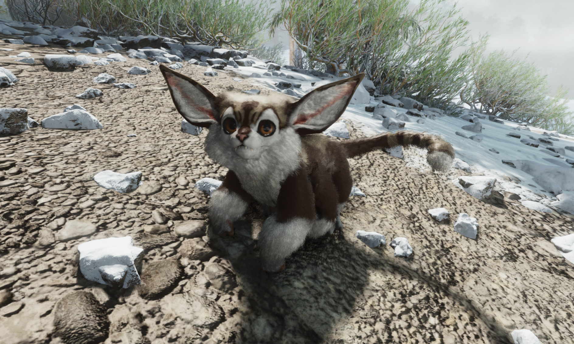 ✴arks✴ Ark™ – Spyderco