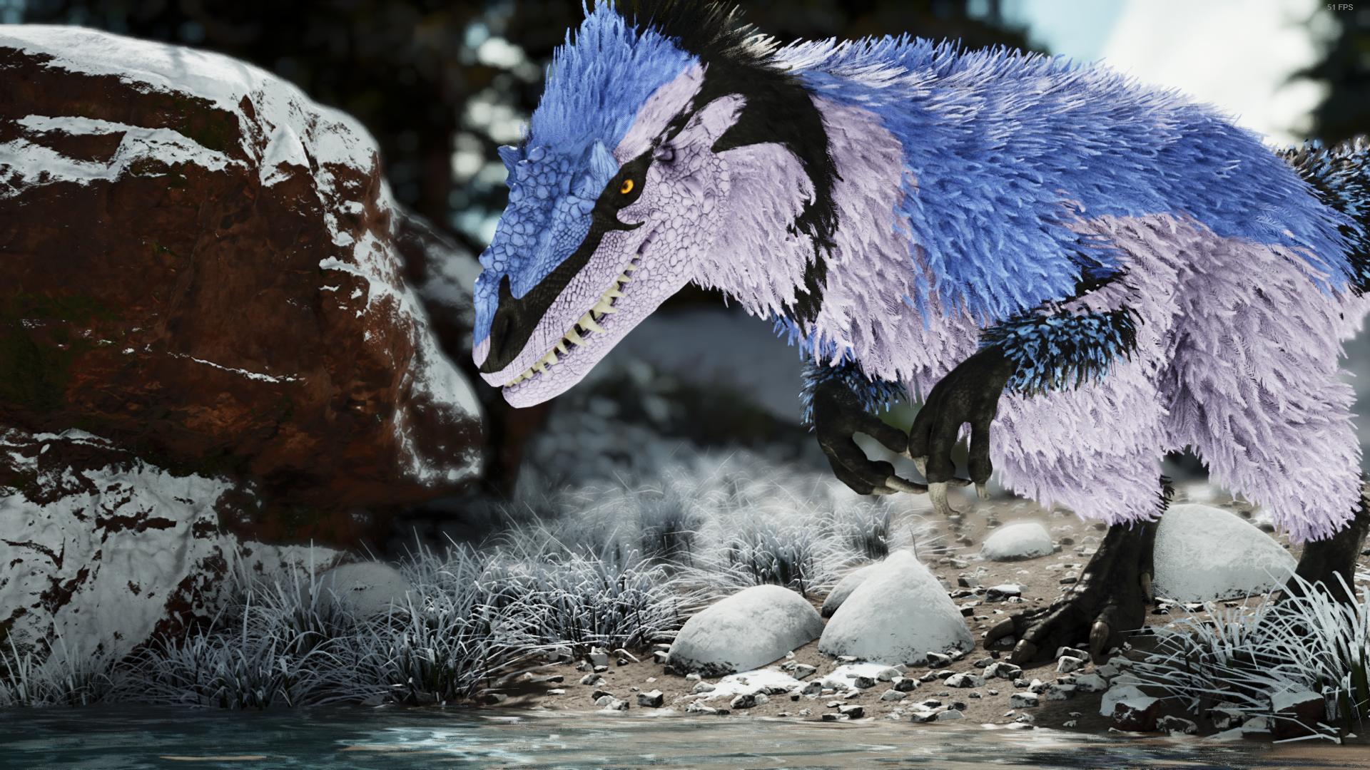 Image by Seamair
