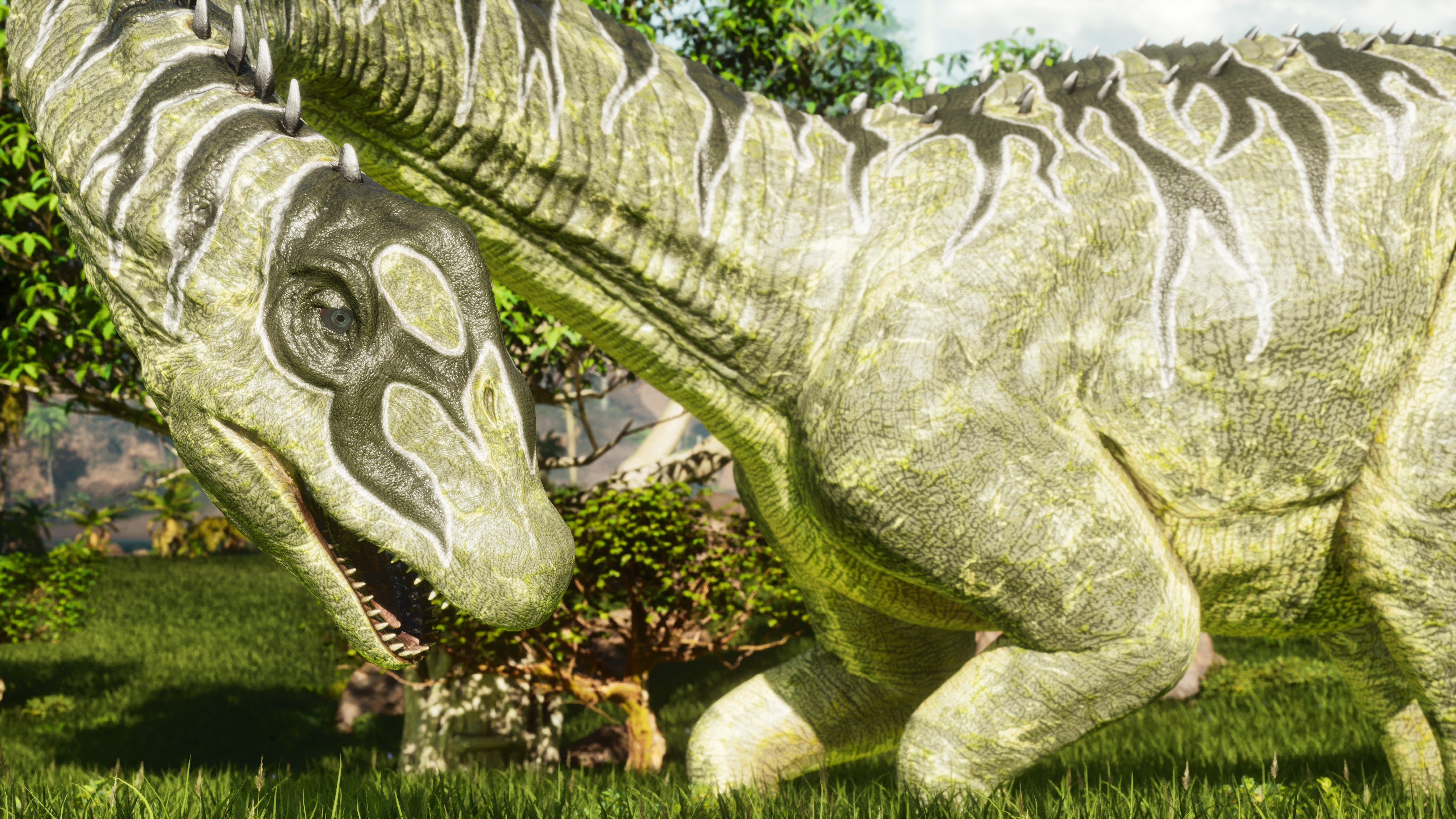 Screenshot thumbnail