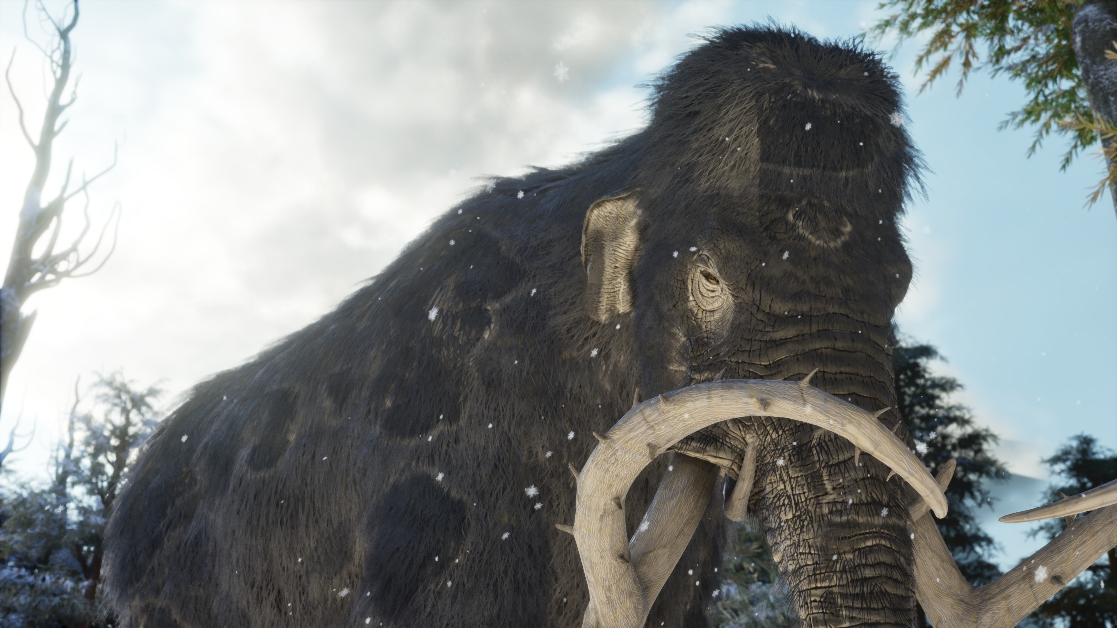 Screenshot thumbnail