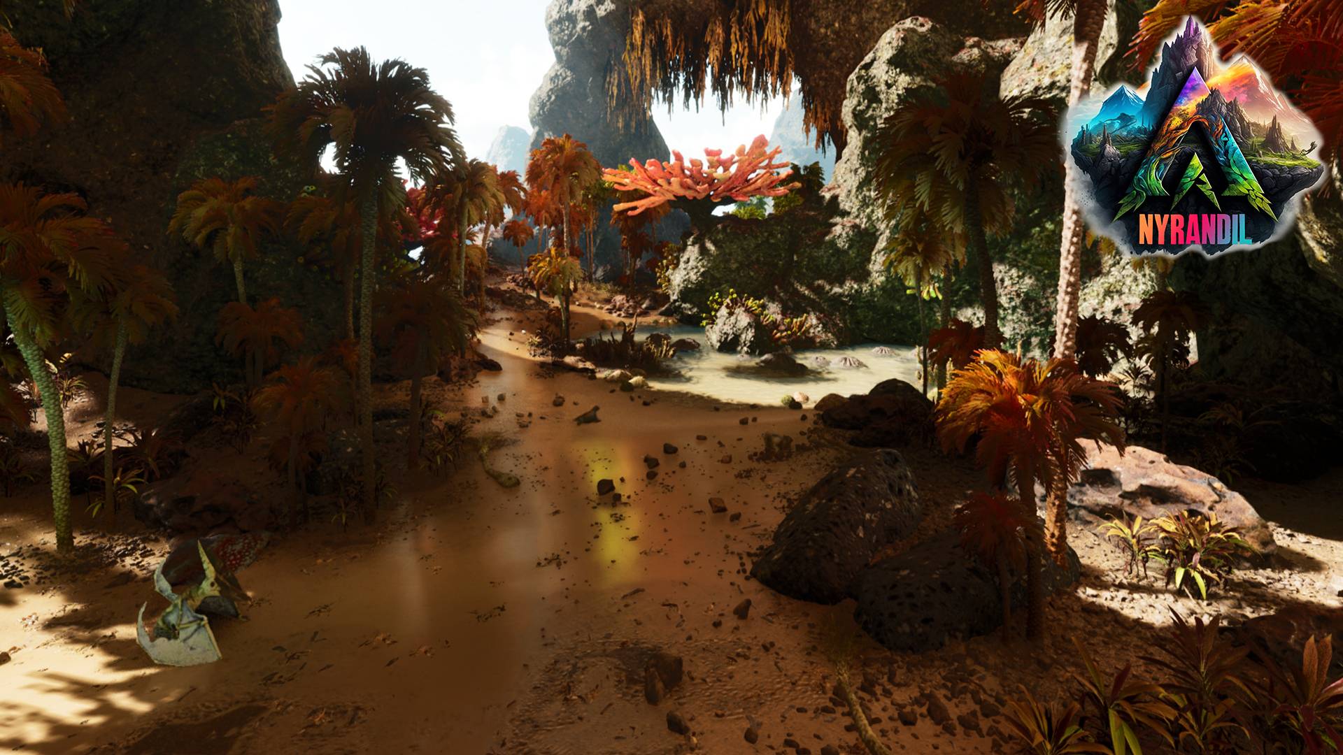 Thumbnail Coral Beach Arch.jpg