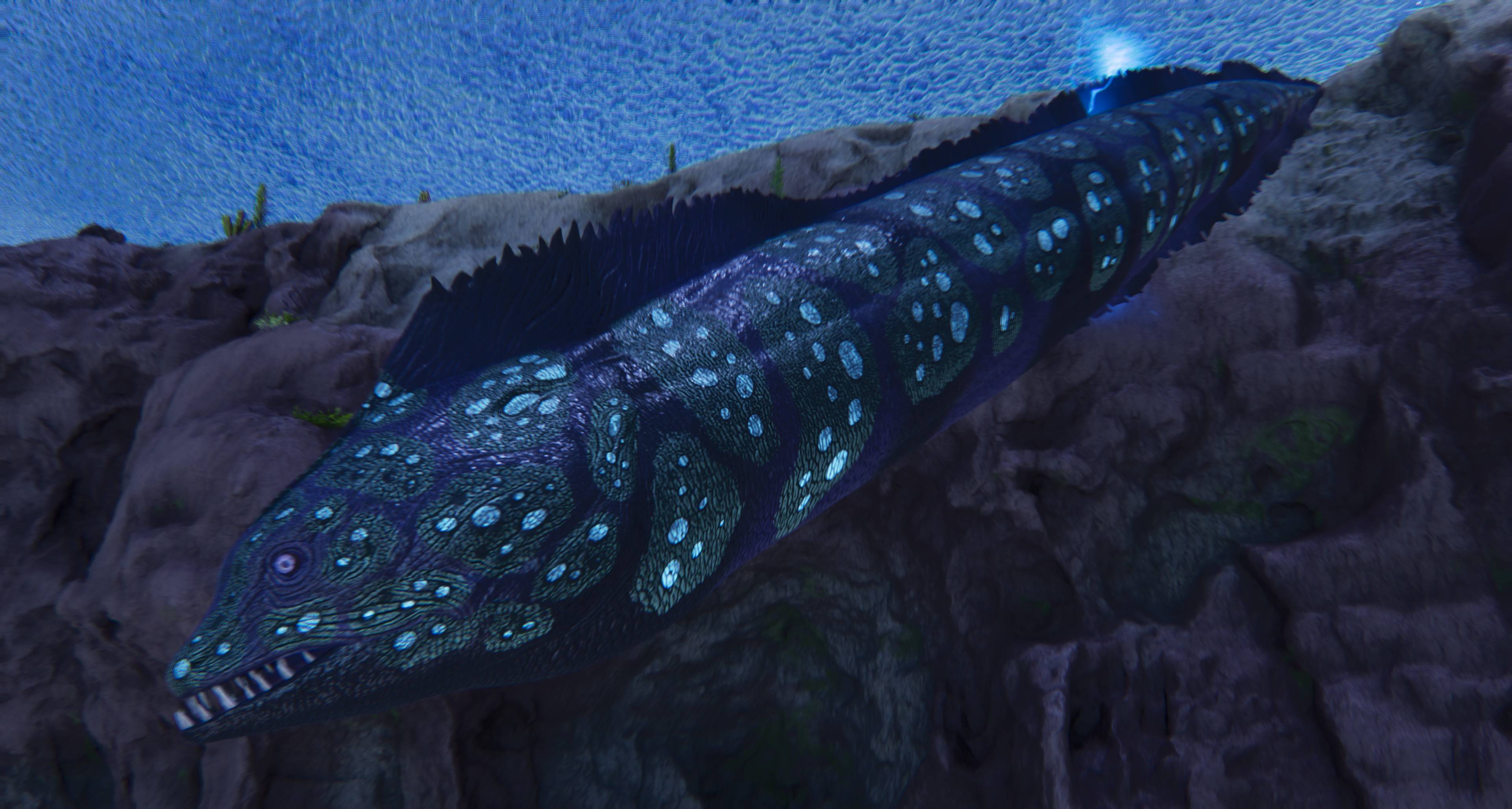 Screenshot thumbnail