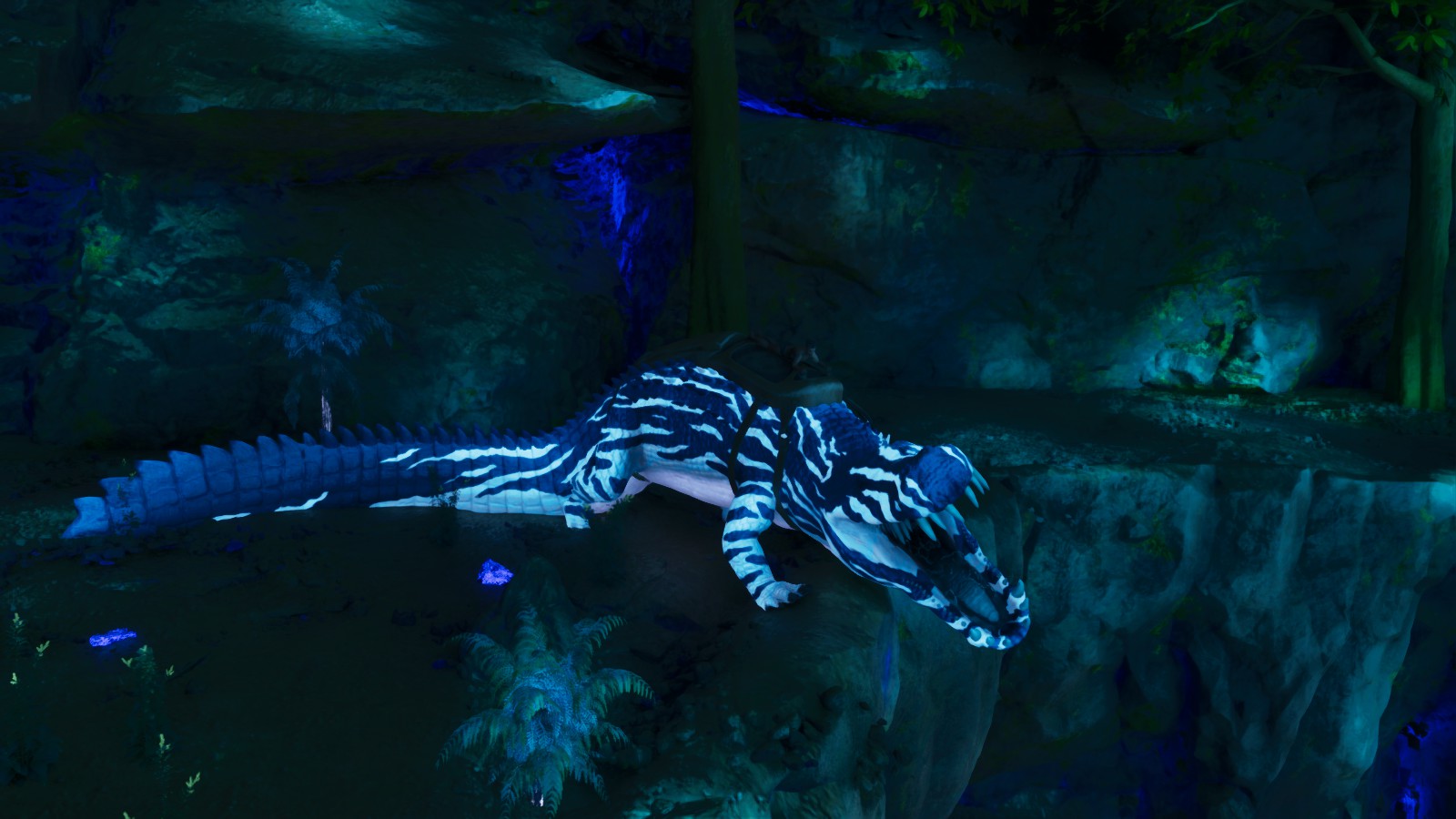 ARK DROPS 新品未使用‼️ All of my supply drops decided to stop mid air. I have to use a