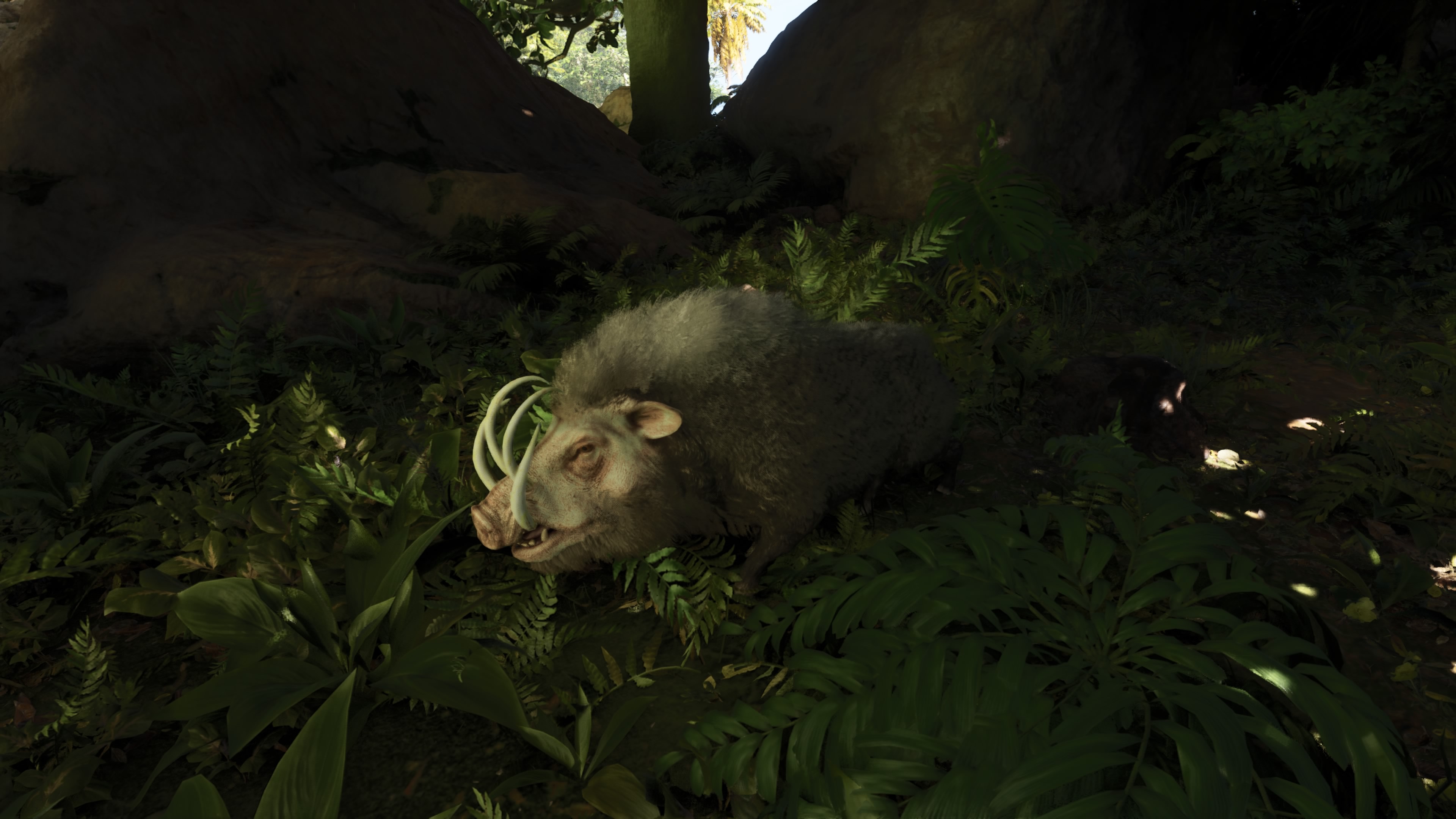 Thumbnail Babirusa