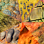 Nile Skin Pack logo