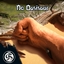 No Oasisaur | Gaia Studios logo