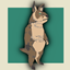 Procoptodon cosutume skin logo