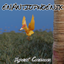 Xyphias' Creatures: Enantiophoenix logo