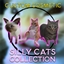Whits Silly Cat Collection (Custom Cosmetic) logo
