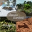 Palaeo Survival (ver. 0.32) logo