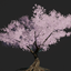 Cherry Blossom Custom Cosmetic Skin logo
