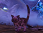 Cats Everywhere [Crossplay] logo