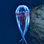 Small Wild Creature Level + Cnidaria color logo