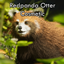 Redpanda Otter Cosmetic logo