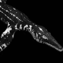 Abi's Liop WWD (Lio TLC) Mod