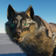 HuskyWolf logo