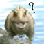 WuDi Wild Giga logo