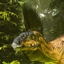 Arketypes: Draconyx logo