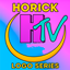 Htv series custom logo