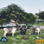 Farm Animal Costumes! logo