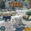Tiger Thyla Costume! logo
